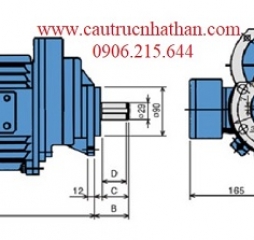 Động cơ cầu trục Sungdo